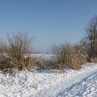 Winter am Moossee