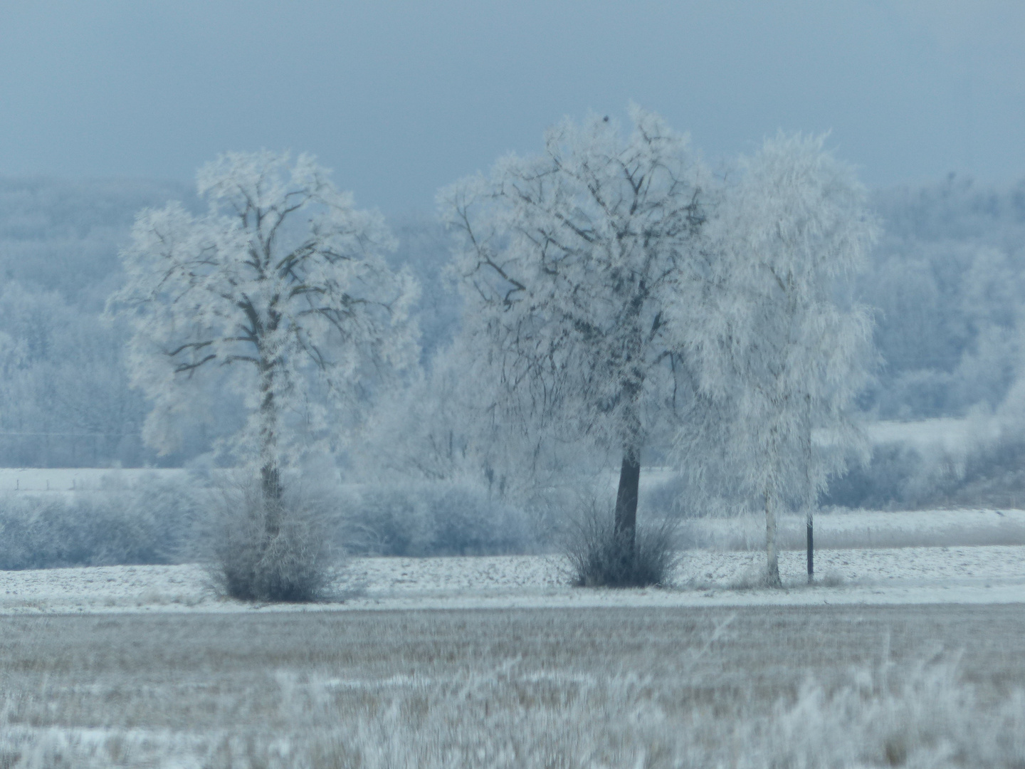 Winter am Morgen