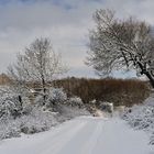 *Winter am Moselhöhenweg 3*