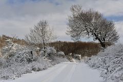 *Winter am Moselhöhenweg 3*