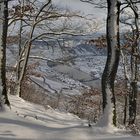 *Winter am Moselhöhenweg*