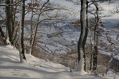 *Winter am Moselhöhenweg*