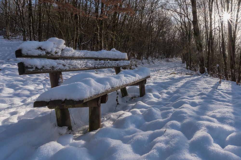 *Winter am Mosenberg*