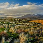 Winter am Mount Ruapehu