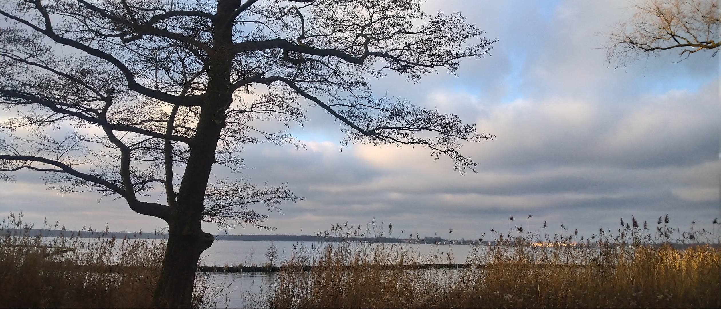 Winter am Müggelsee