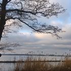 Winter am Müggelsee