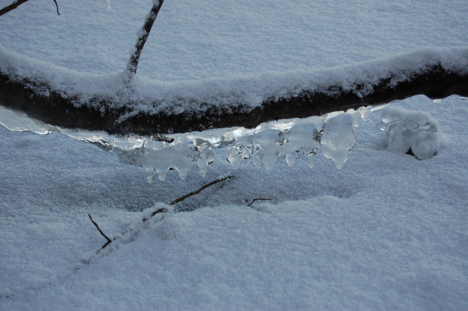 Winter am Müggelsee