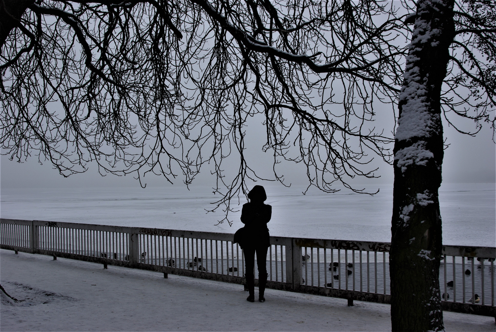 Winter am Müggelsee