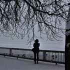 Winter am Müggelsee