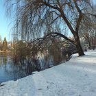 Winter am Mühlenteich