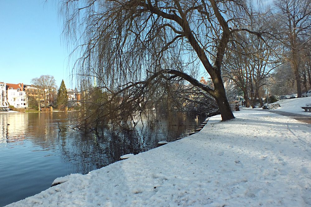 Winter am Mühlenteich