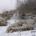 Winter am Mühlweiher 2