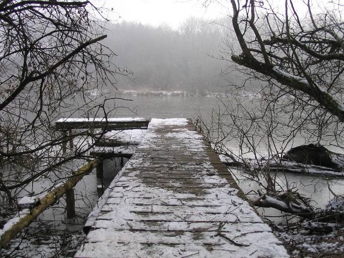 Winter am Mühlweiher