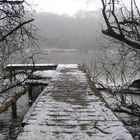 Winter am Mühlweiher