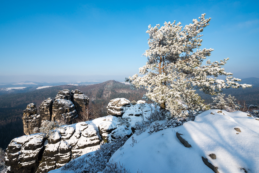 Winter am Müllerstein