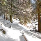 Winter am Mummelsee