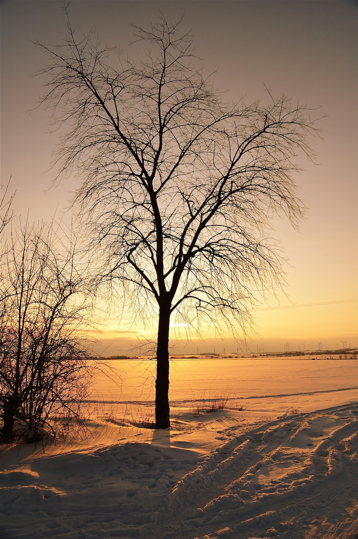 Winter am Nachmittag