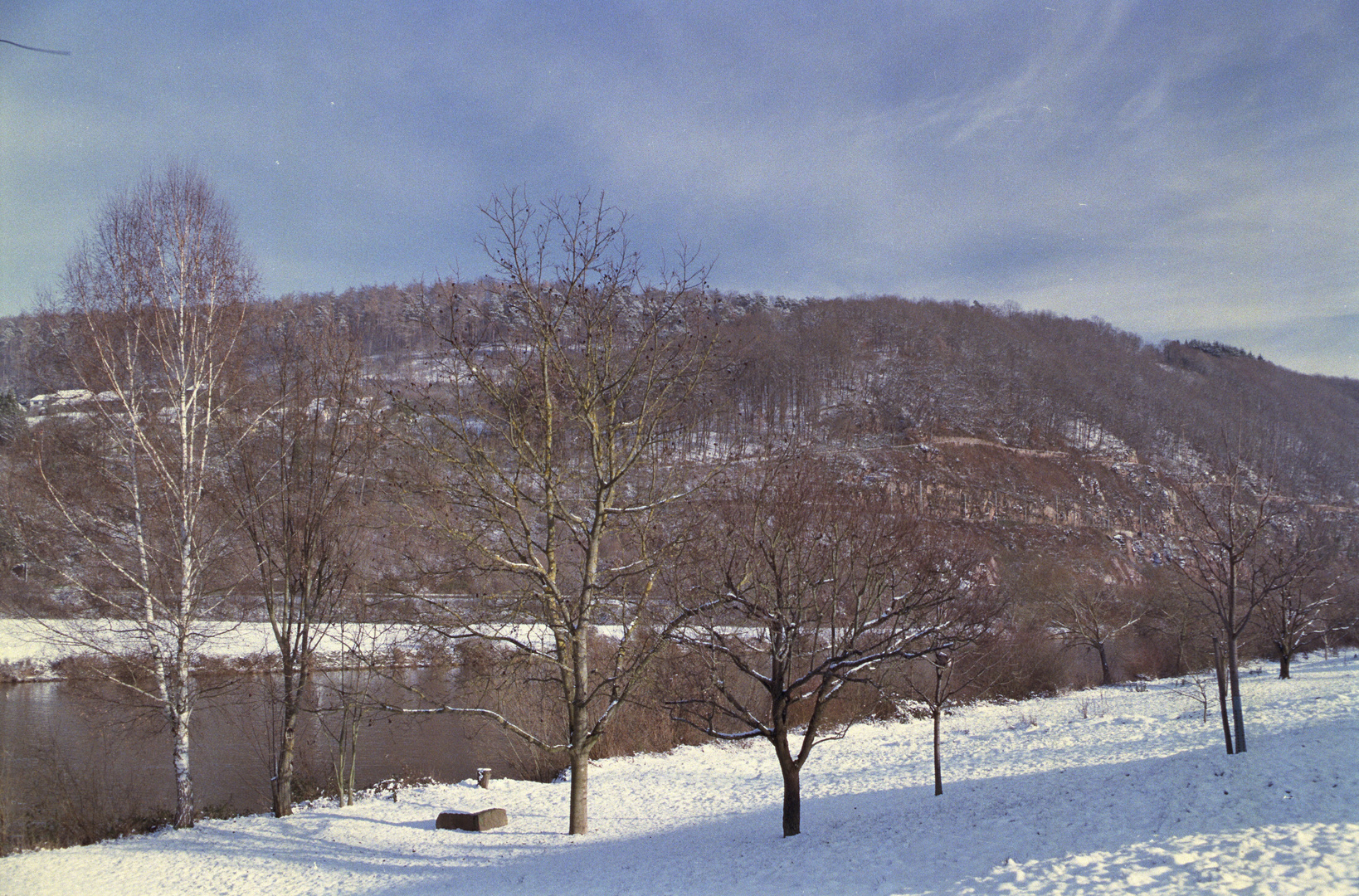 Winter am Neckar