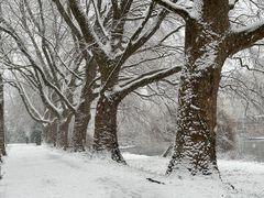 Winter am Neckar