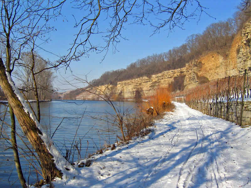 Winter am Neckar