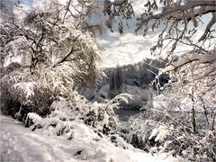 WINTER AM NECKAR