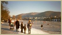 Winter am Neckar bei Heidelberg