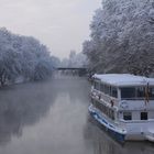 Winter am Neckar