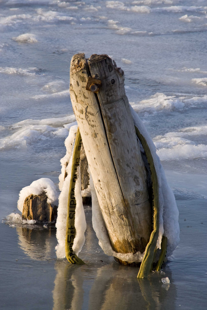 Winter am Neusiedler See