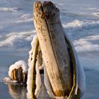 Winter am Neusiedler See