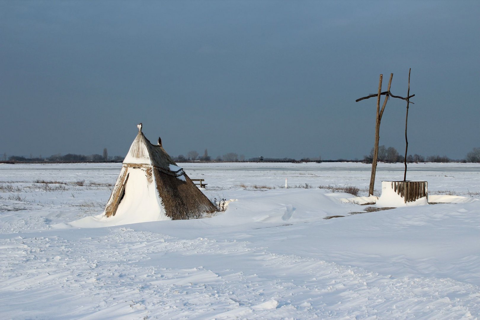 Winter am Neusiedlersee