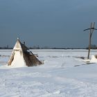 Winter am Neusiedlersee