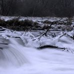 Winter am Neustädter Wasserfall (2)