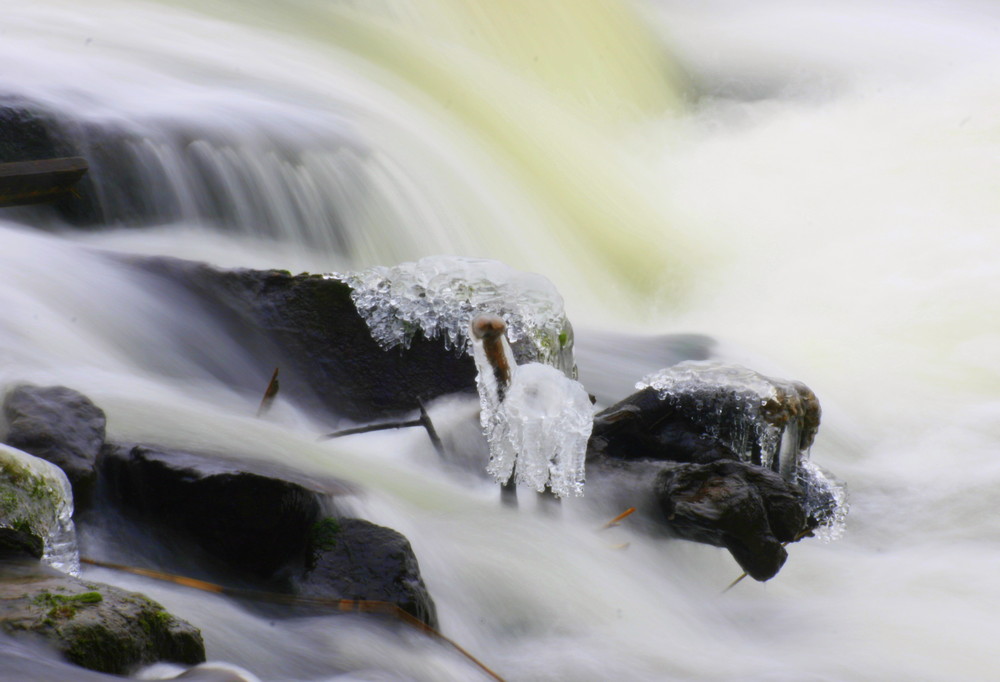 Winter am Neustädter Wasserfall (3)