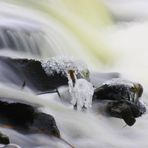 Winter am Neustädter Wasserfall (3)