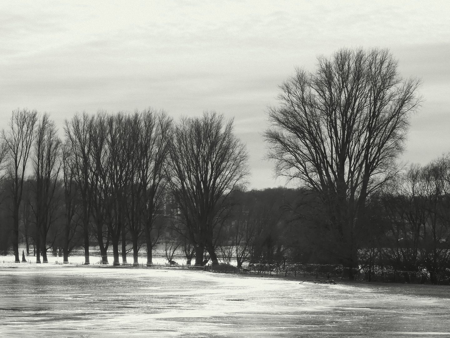 Winter am Niederrhein