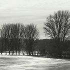 Winter am Niederrhein