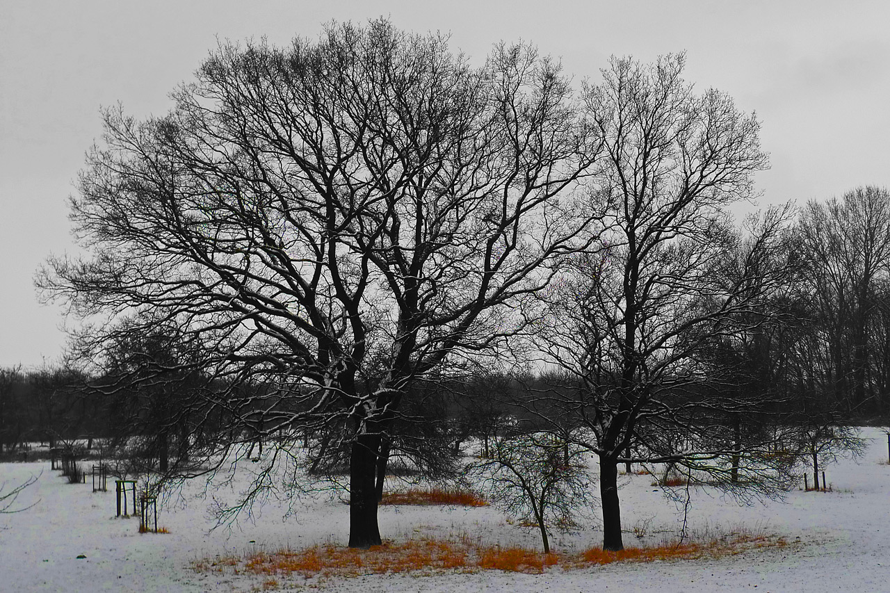 Winter am Niederrhein