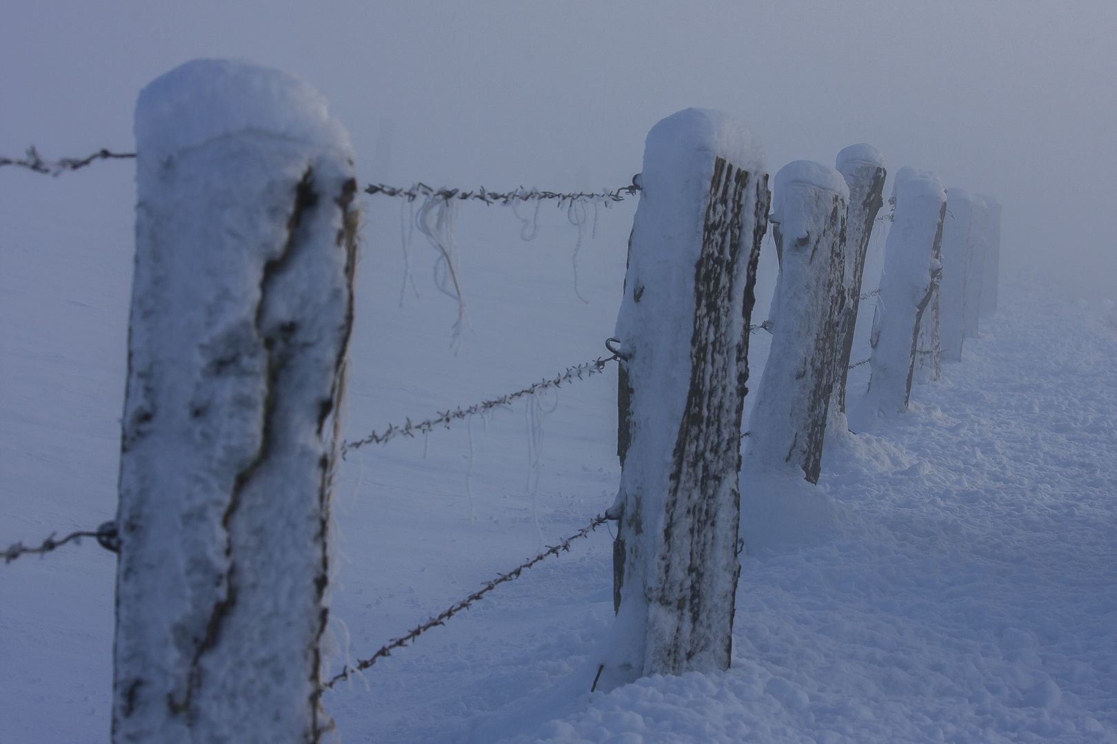 Winter am Niederrhein