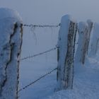 Winter am Niederrhein