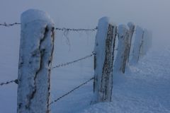 Winter am Niederrhein