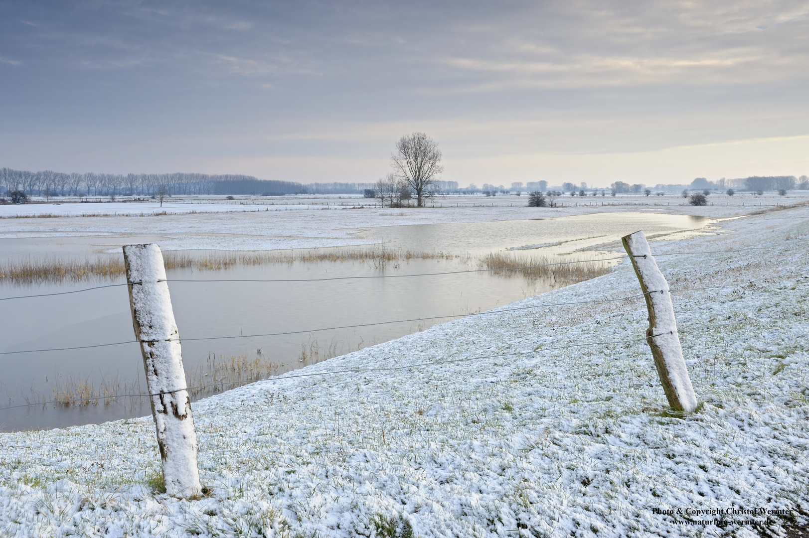 Winter am Niederrhein