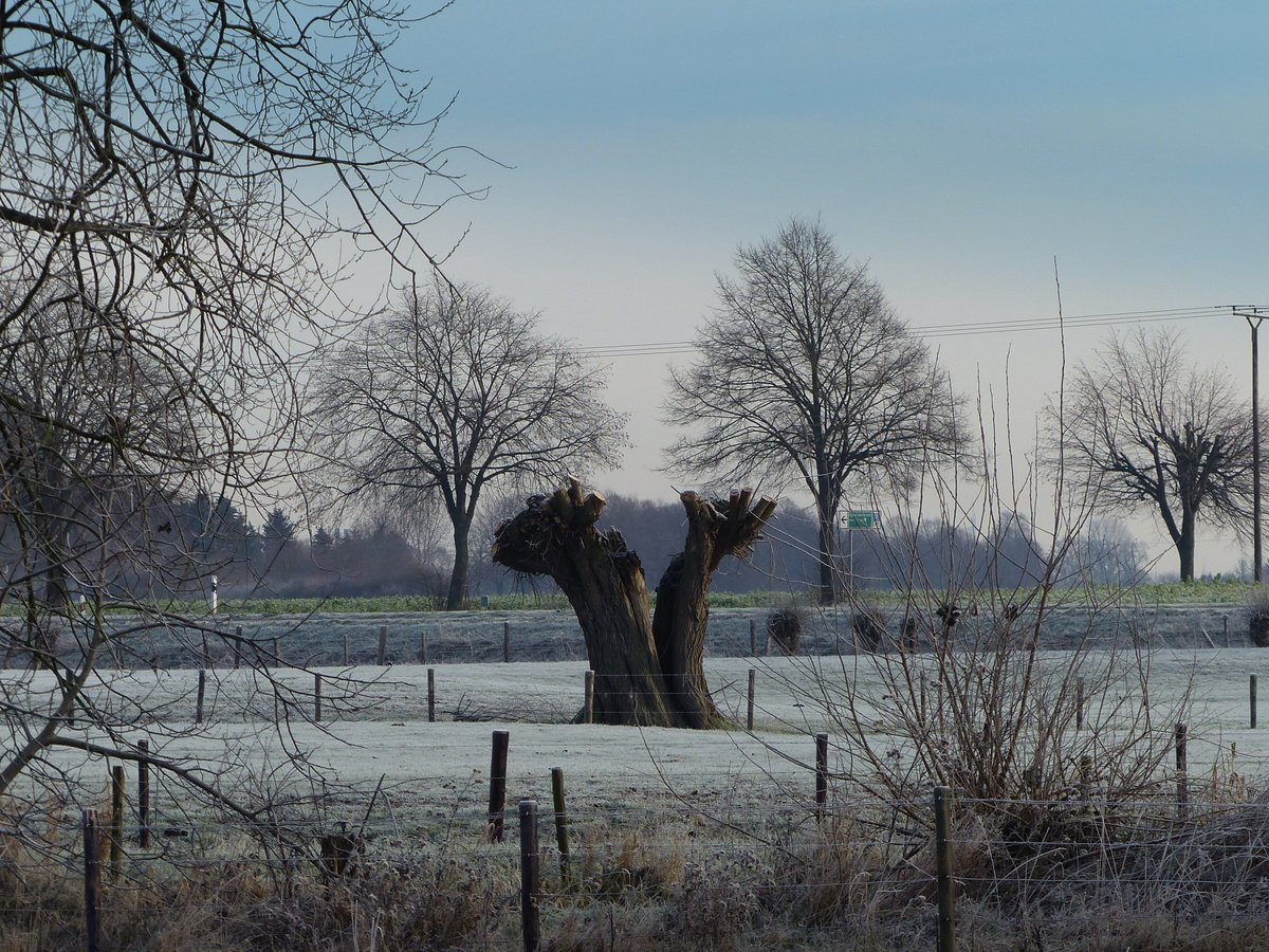 Winter am Niederrhein  1