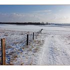 Winter am Niederrhein (1)