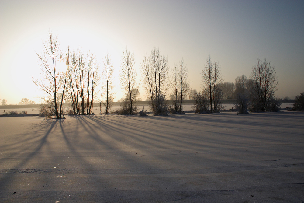 Winter am Niederrhein 1