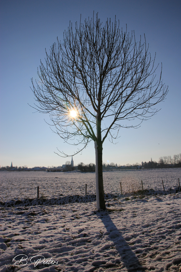 Winter am Niederrhein