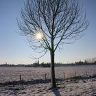 Winter am Niederrhein