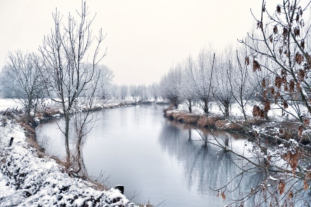 Winter am Niederrhein