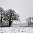 Winter am Niederrhein