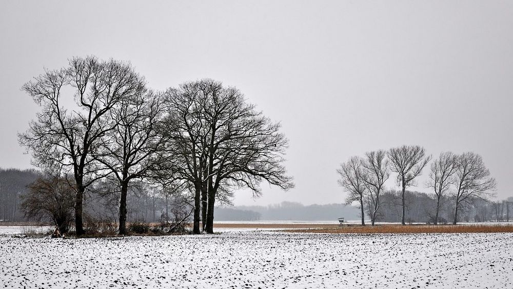 Winter am Niederrhein