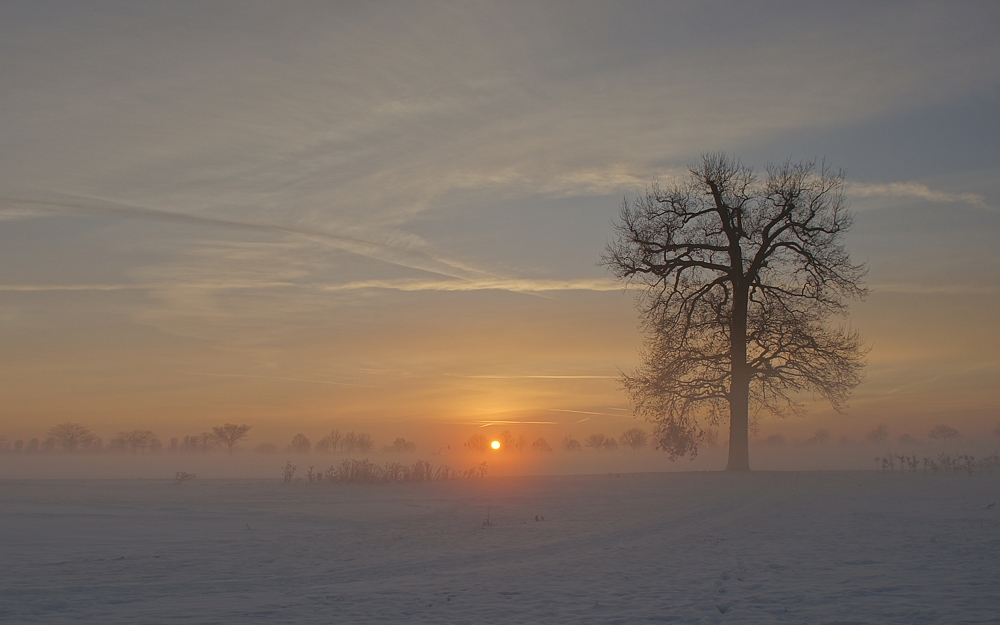 Winter am Niederrhein (2)